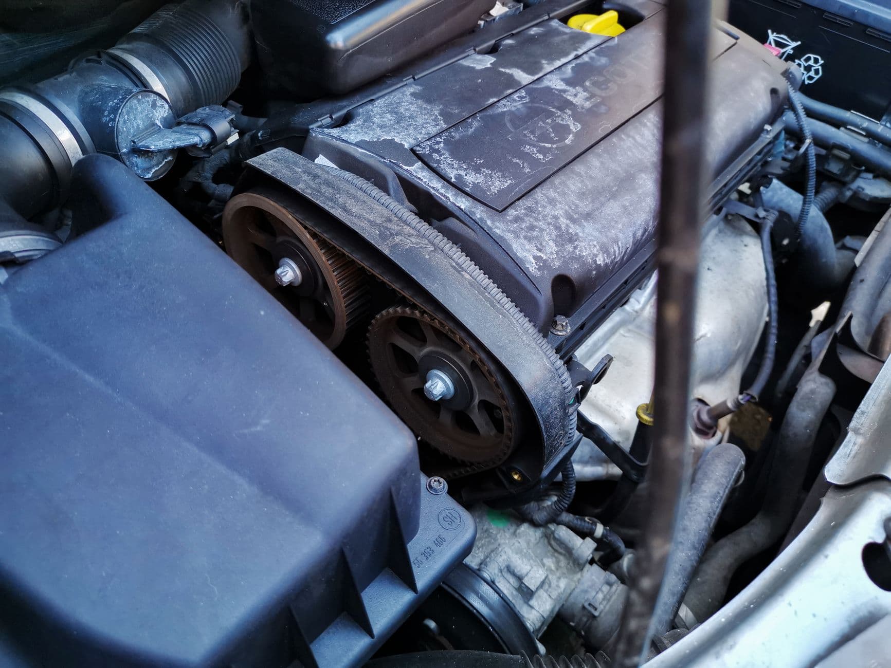 Mazda Demio Timing Belt